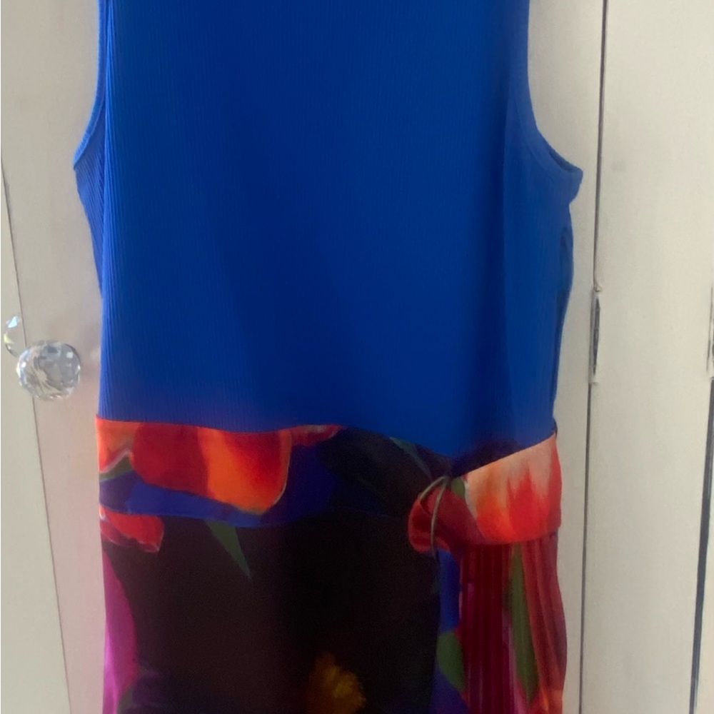 Ted Baker Blue and Multicolor Midi Dress